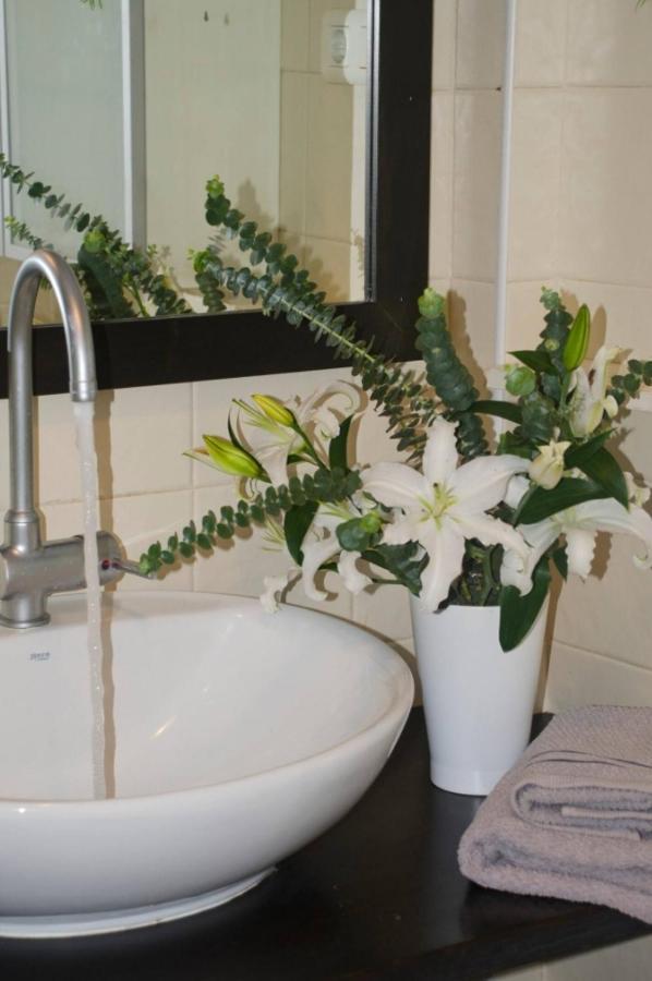 Apartamentos San Hiscio 塔里法 外观 照片
